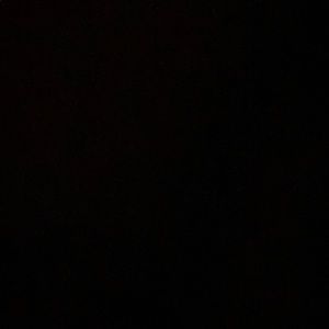 Meet your Posher, Blake